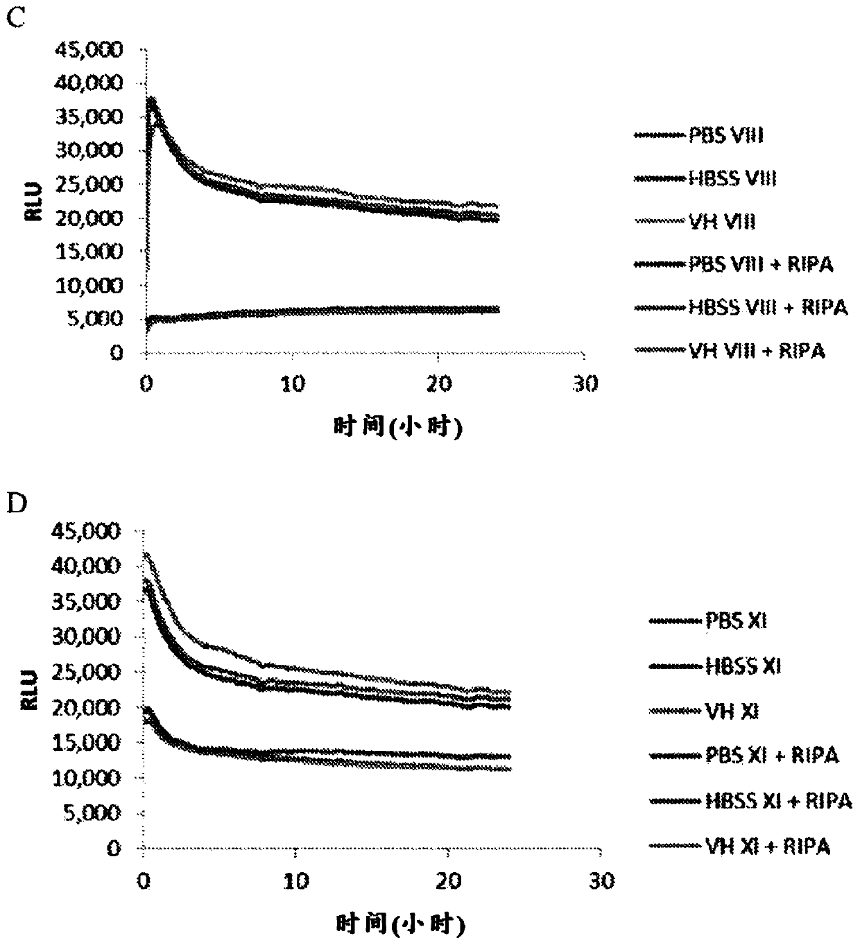 Delivery of urea to cells of the macula and retina using liposome constructs