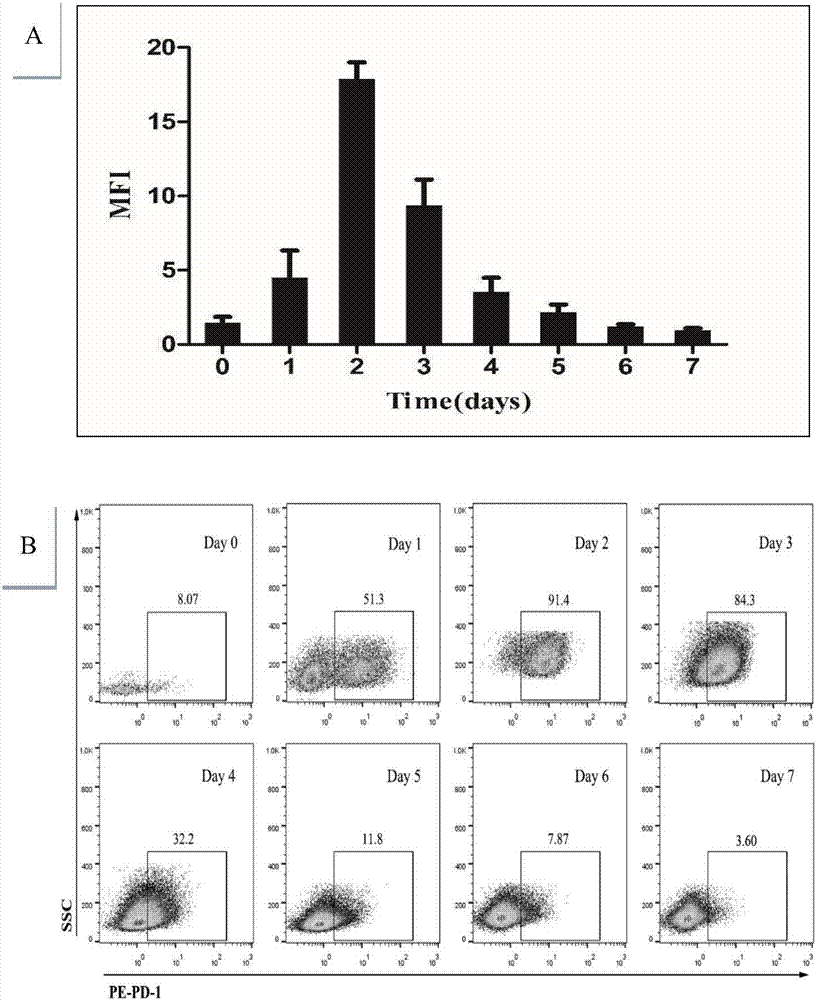 Preparation method and use of TCR gene modified CD8+T memory stem cell