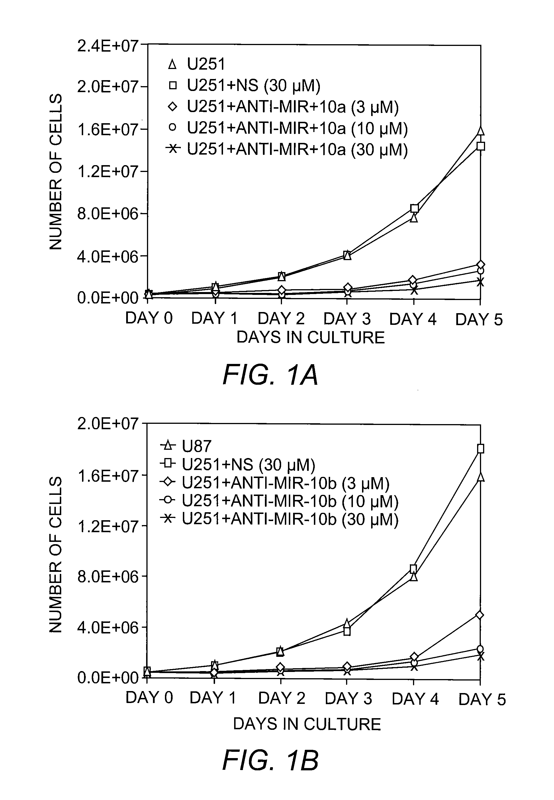 MicroRNA-10 Antagonists and MicroRNA-10 Targets for Use in the Treatment of a Glioma