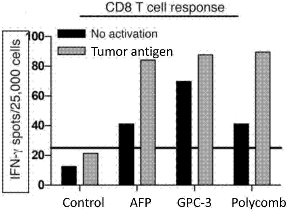 Antigen presenting signal group combining hepatitis B virus (HBV) antigen peptides and liver cancer cell antigen information, and applications