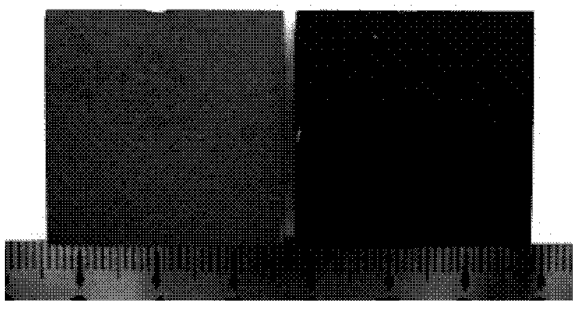 Metal microarc oxidation electrolyte and method for forming black ceramic coating on metal surface by microarc oxidation