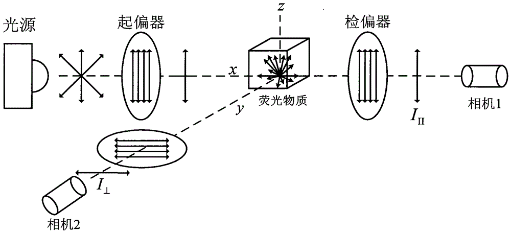 Fluorescence anisotropic microscopic imaging device and method with dual-channel and single-light path structure