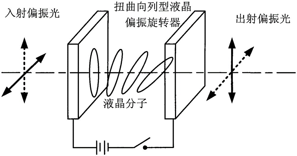 Fluorescence anisotropic microscopic imaging device and method with dual-channel and single-light path structure