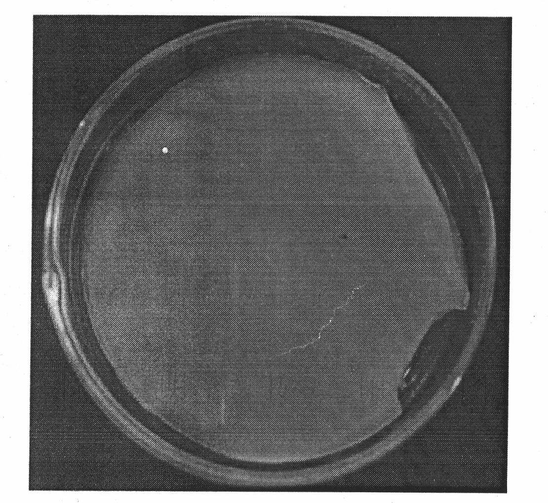 Method for preparing SiO2 aerogel in normal pressure drying condition