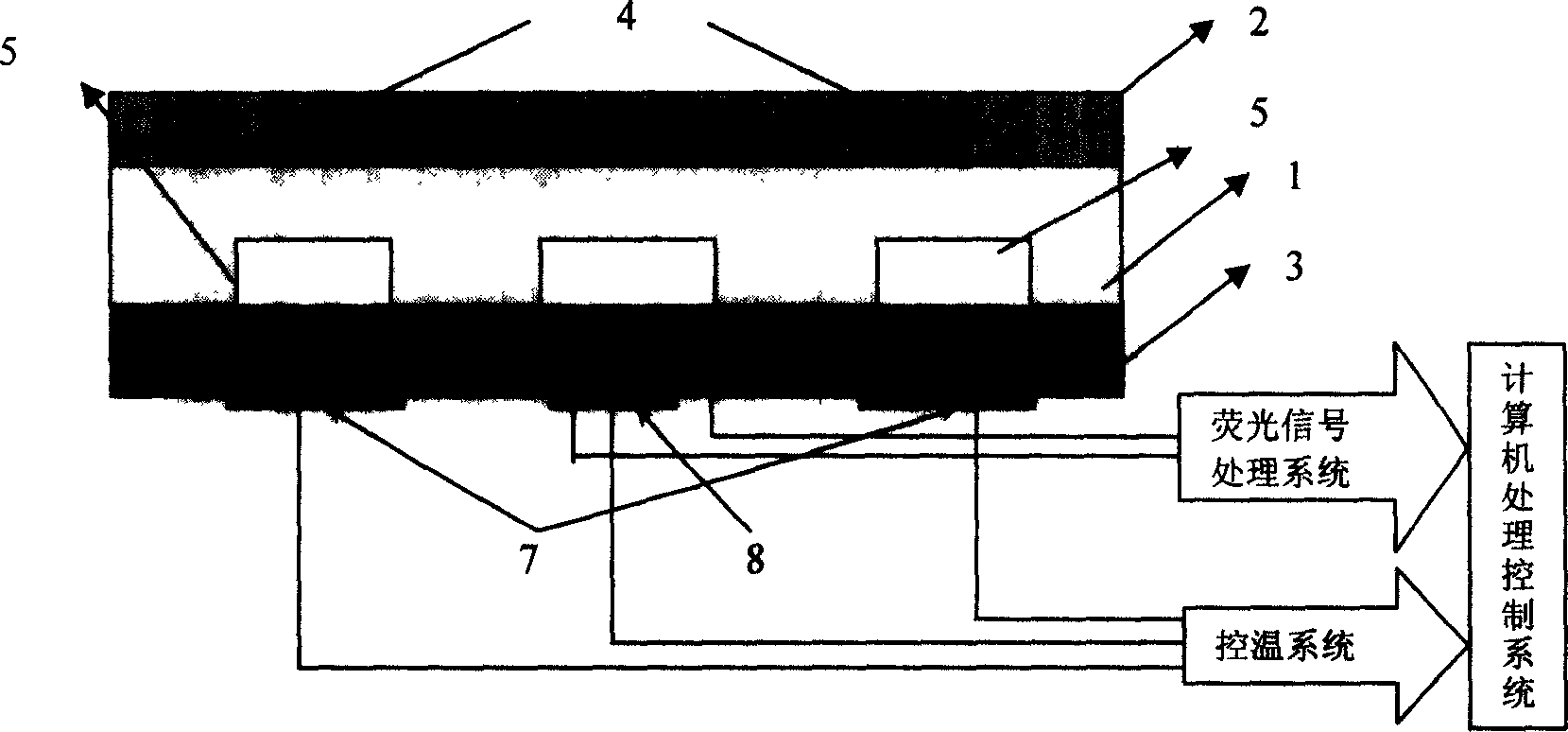 PCR chip micro-system and method for preparing the same