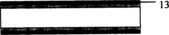 PCR chip micro-system and method for preparing the same