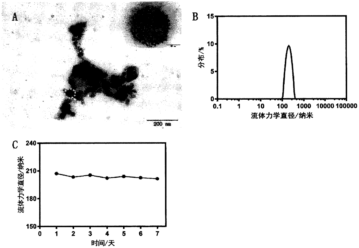 Near-infrared quantum dot probe for brain glioma tracing