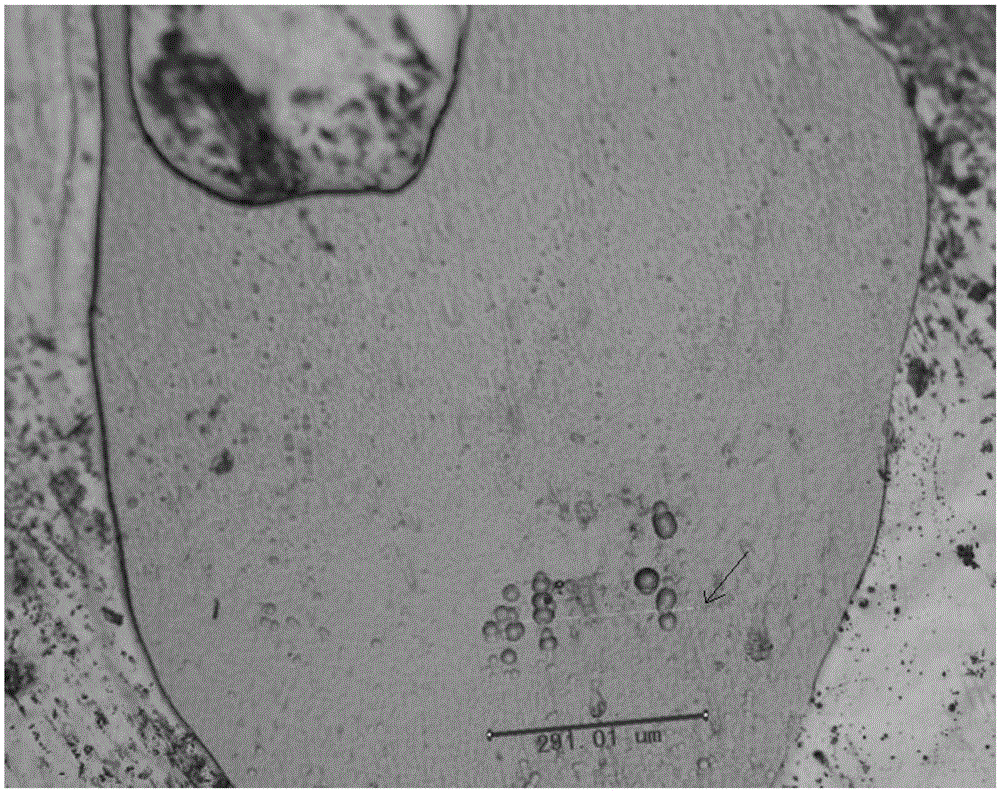 Preparation method of glass needle-shaped defect reflective electron microscope sample