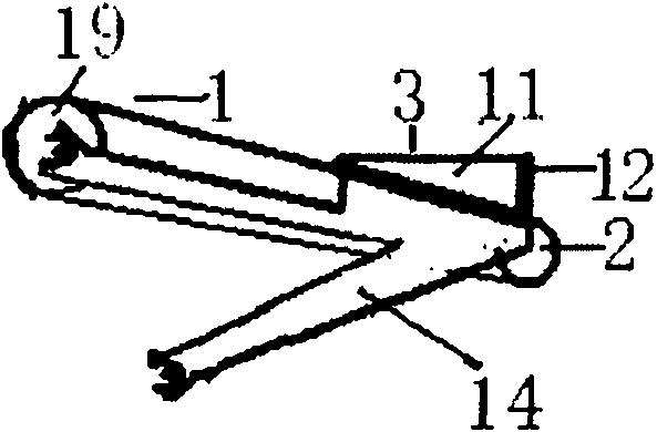 Method for accurately arranging positions and postures of rice seeds