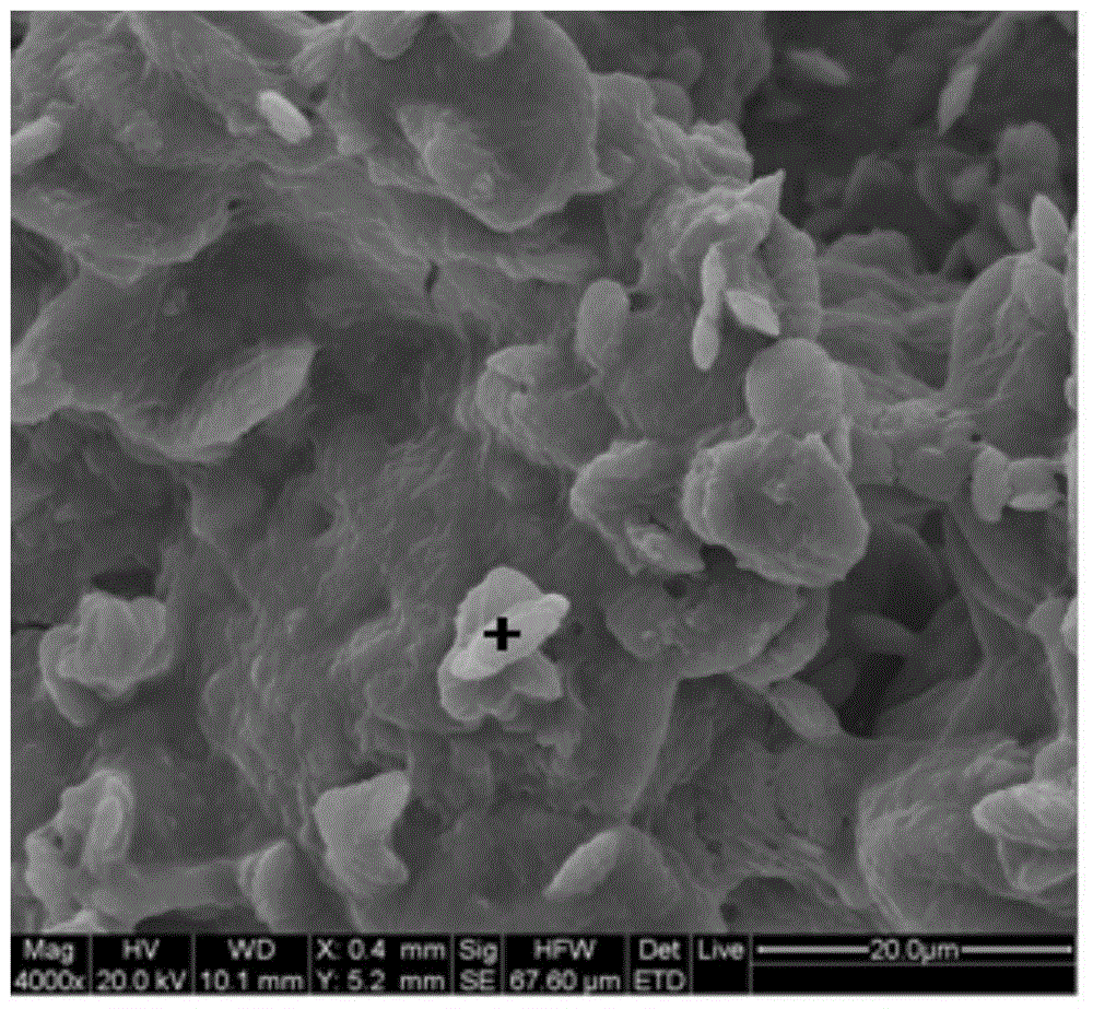 Microbial composite admixture for self-healing cracking of cement-based materials and its application