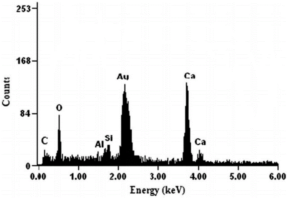 Microbial composite admixture for self-healing cracking of cement-based materials and its application