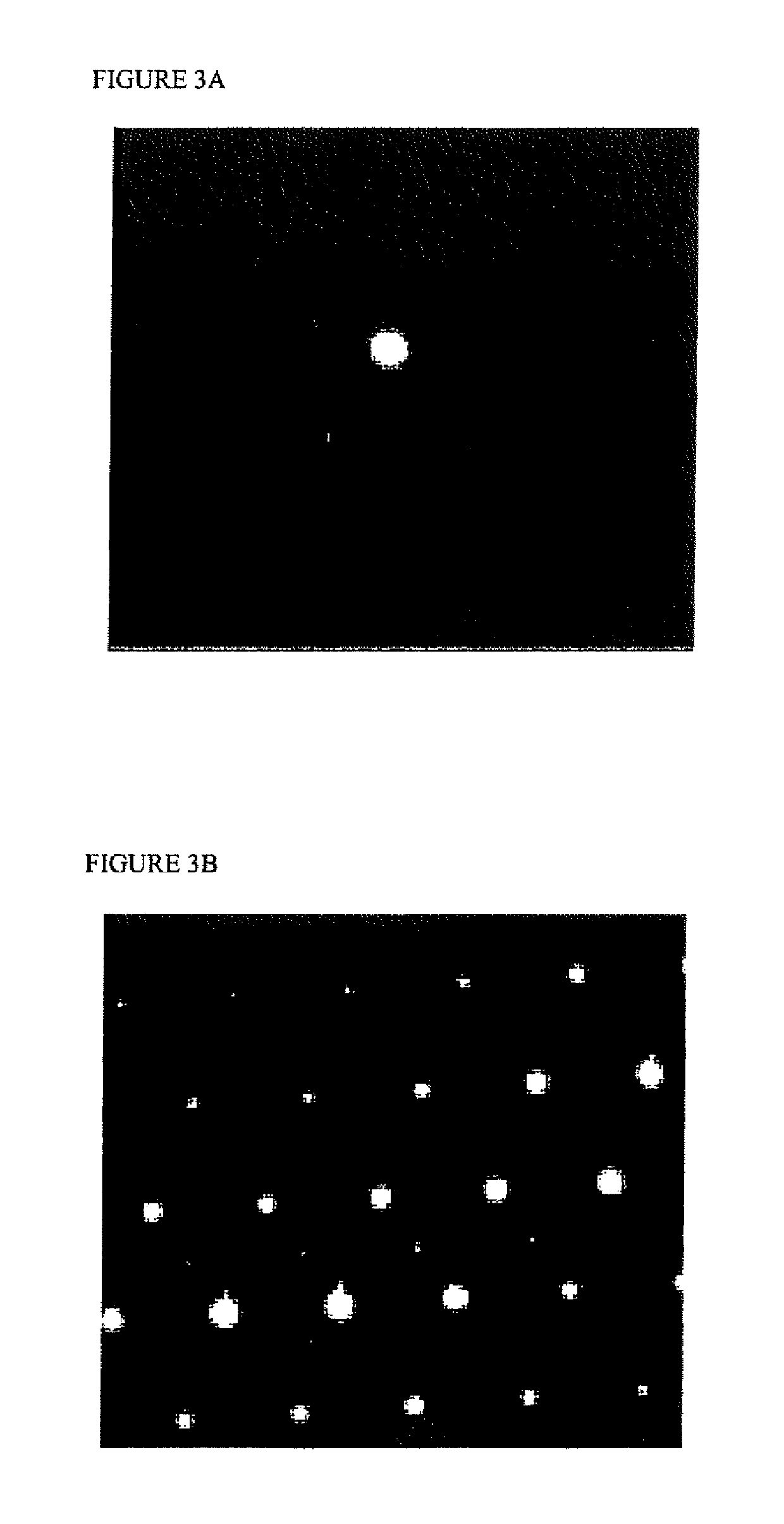 Titanium product, separator, and proton exchange membrane fuel cell, and method for producing titanium product