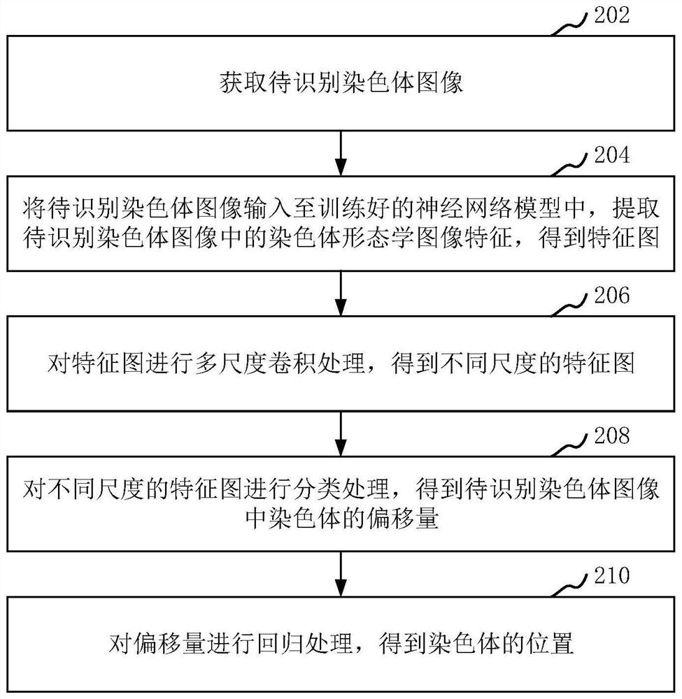 Chromosome recognition method and device based on deep learning, and computer equipment