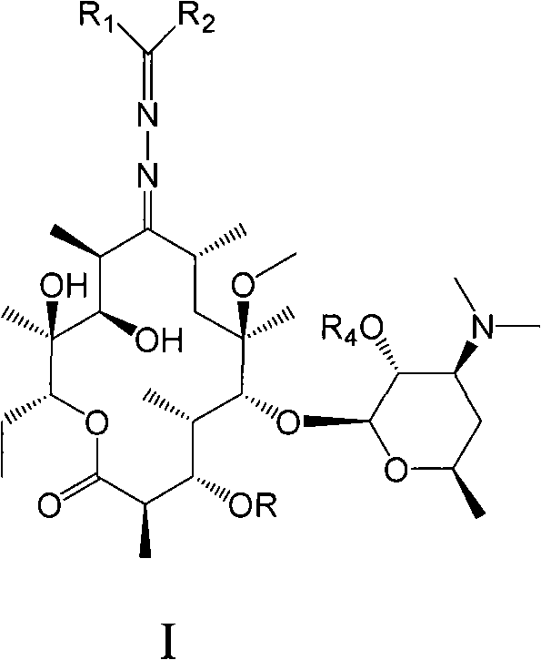 Erythromycin A derivative and preparation method thereof