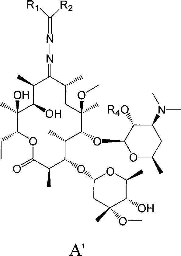 Erythromycin A derivative and preparation method thereof