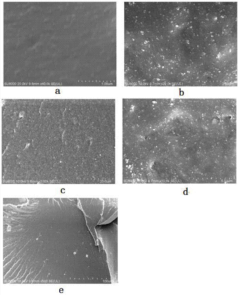 Preparation method of white carbon black/rubber composite