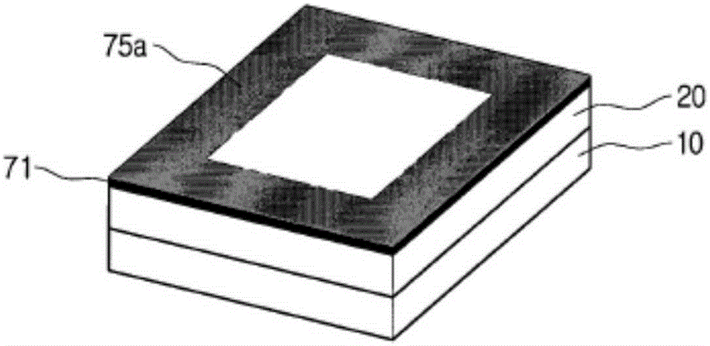 Organic light emitting device panel