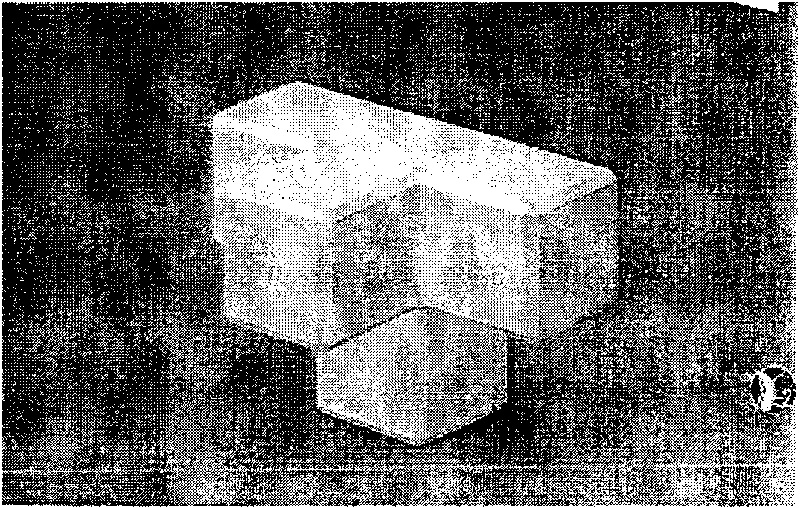 Double T-shaped polyhedra wave-breaking dike