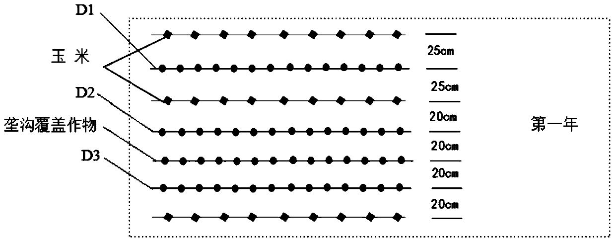 Method for planting corn and cover crops