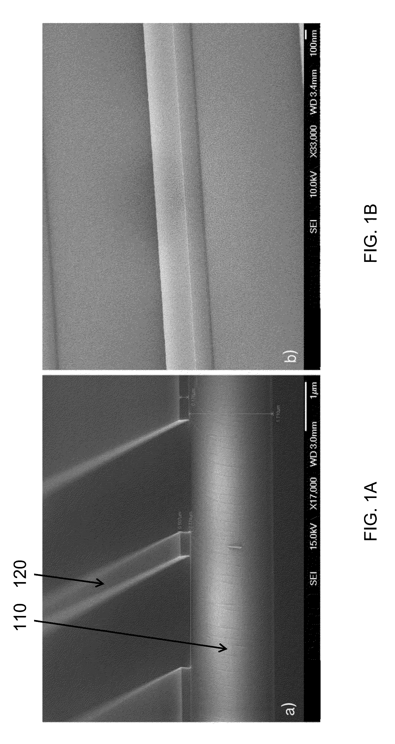 Sagnac loop mirror based laser cavity on silicon photonics platform