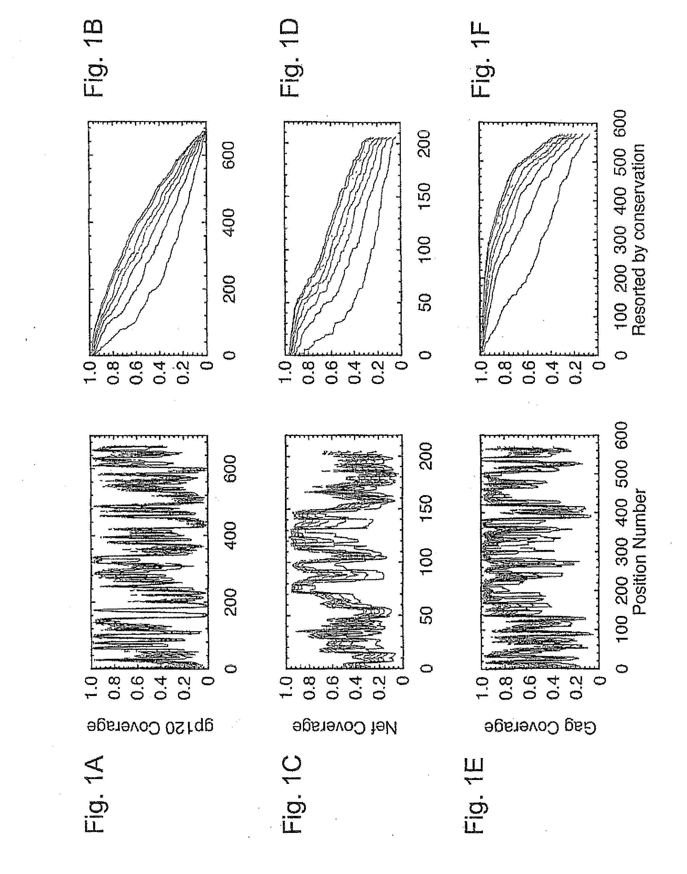 Polyvalent vaccine