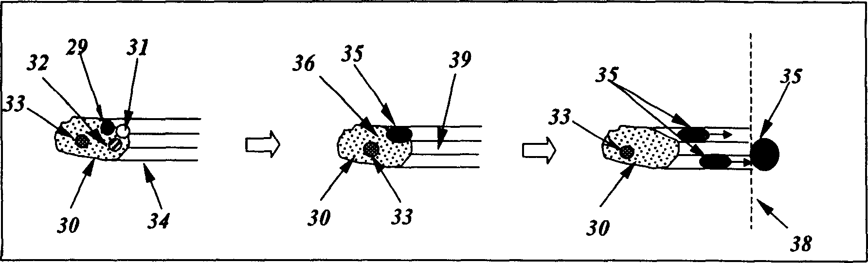 Flue-gas processing technique based on adsorbent-polymer composite material