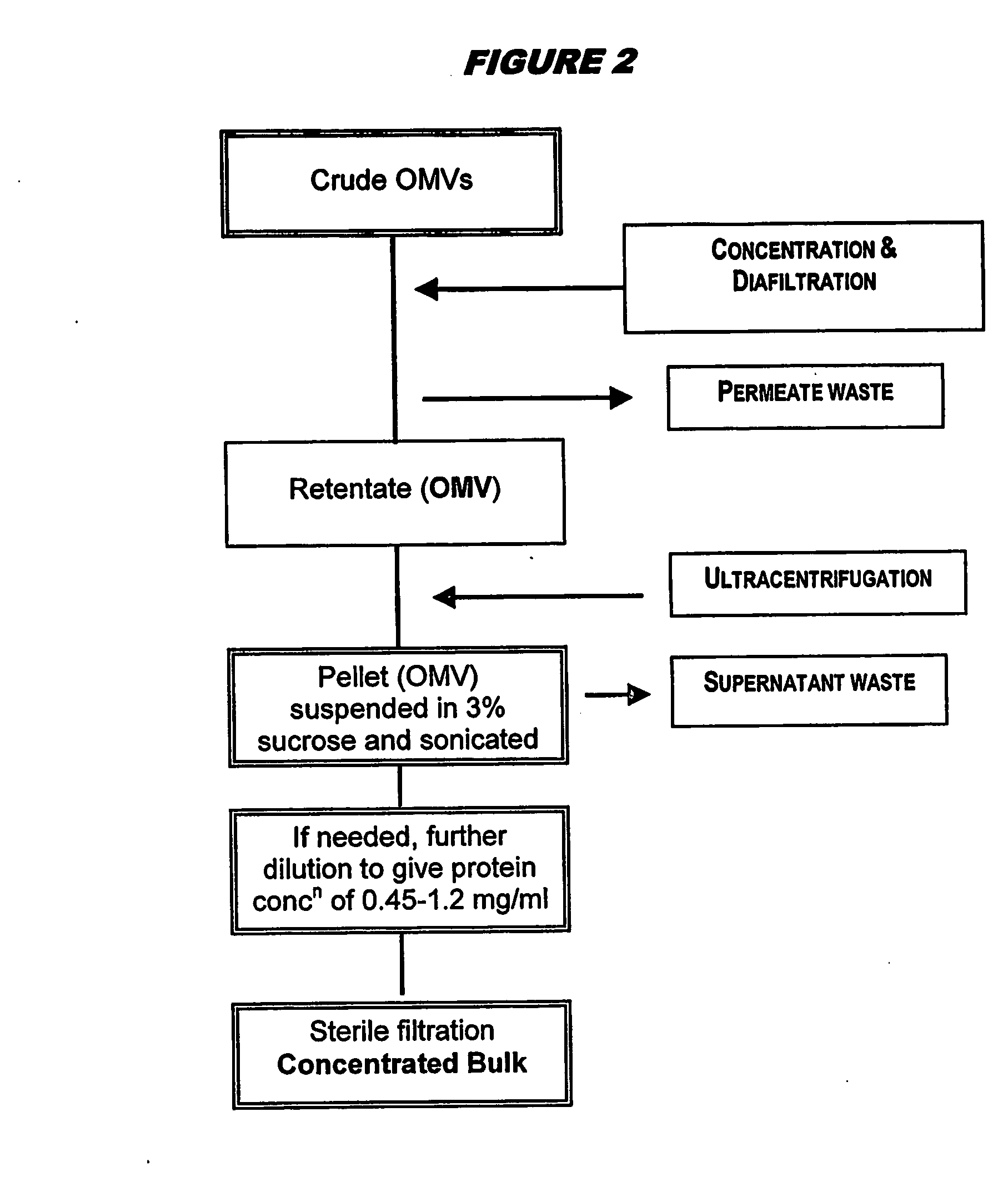 Ultrafiltration for preparing outer membrane vesicles