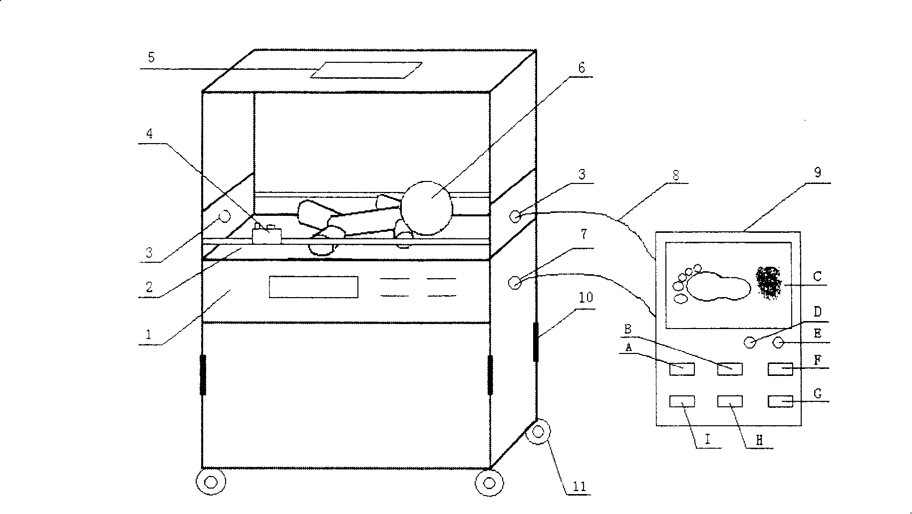 Collecting and identifying system for neonatal information