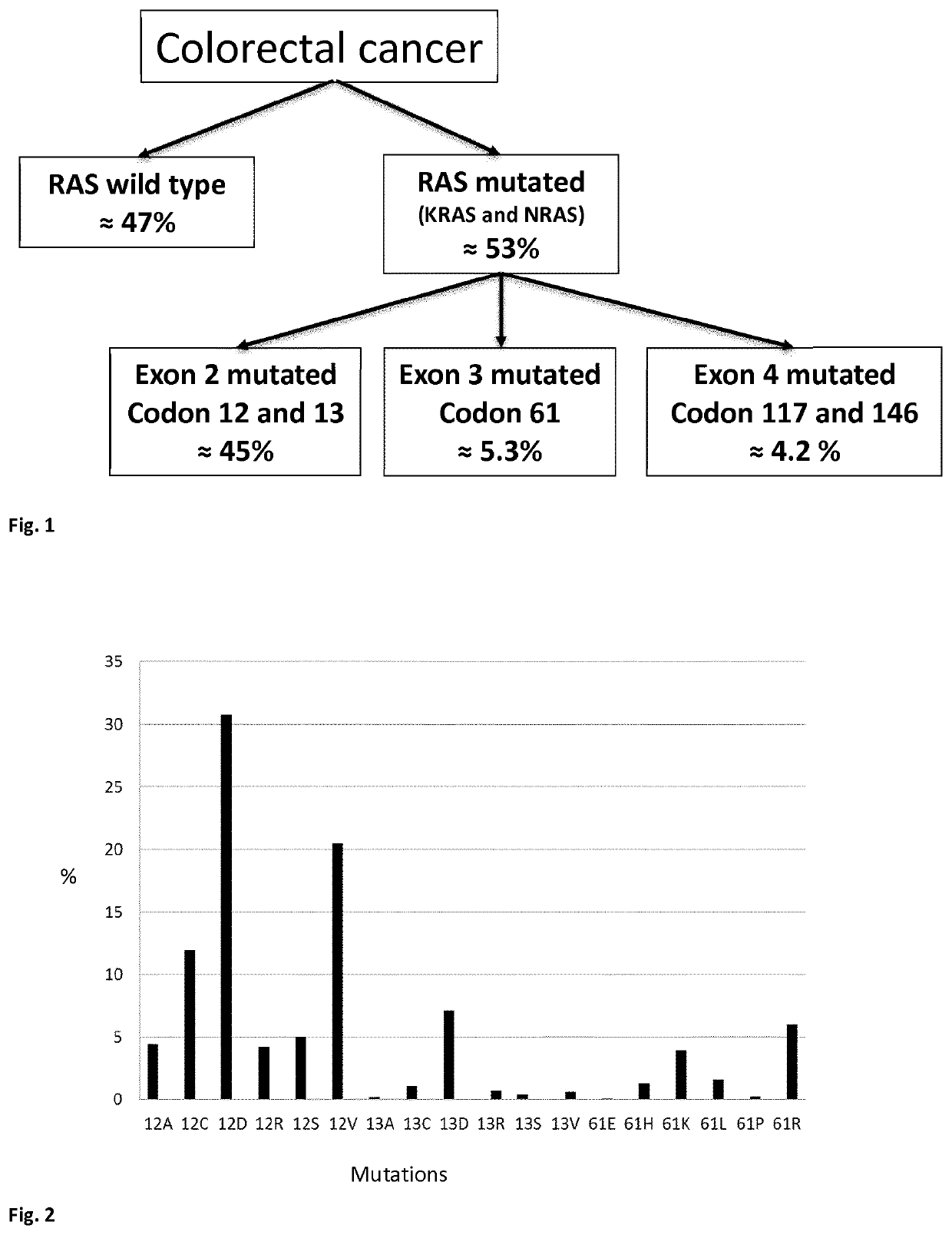 Mutated fragments of the ras protein