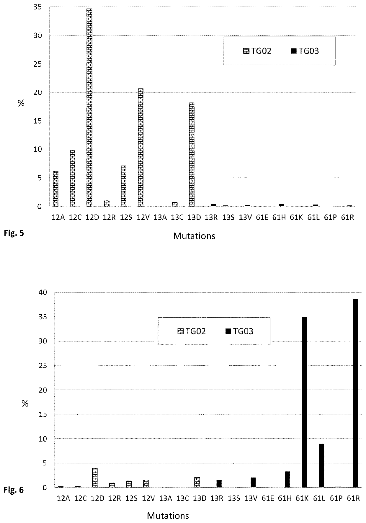 Mutated fragments of the ras protein