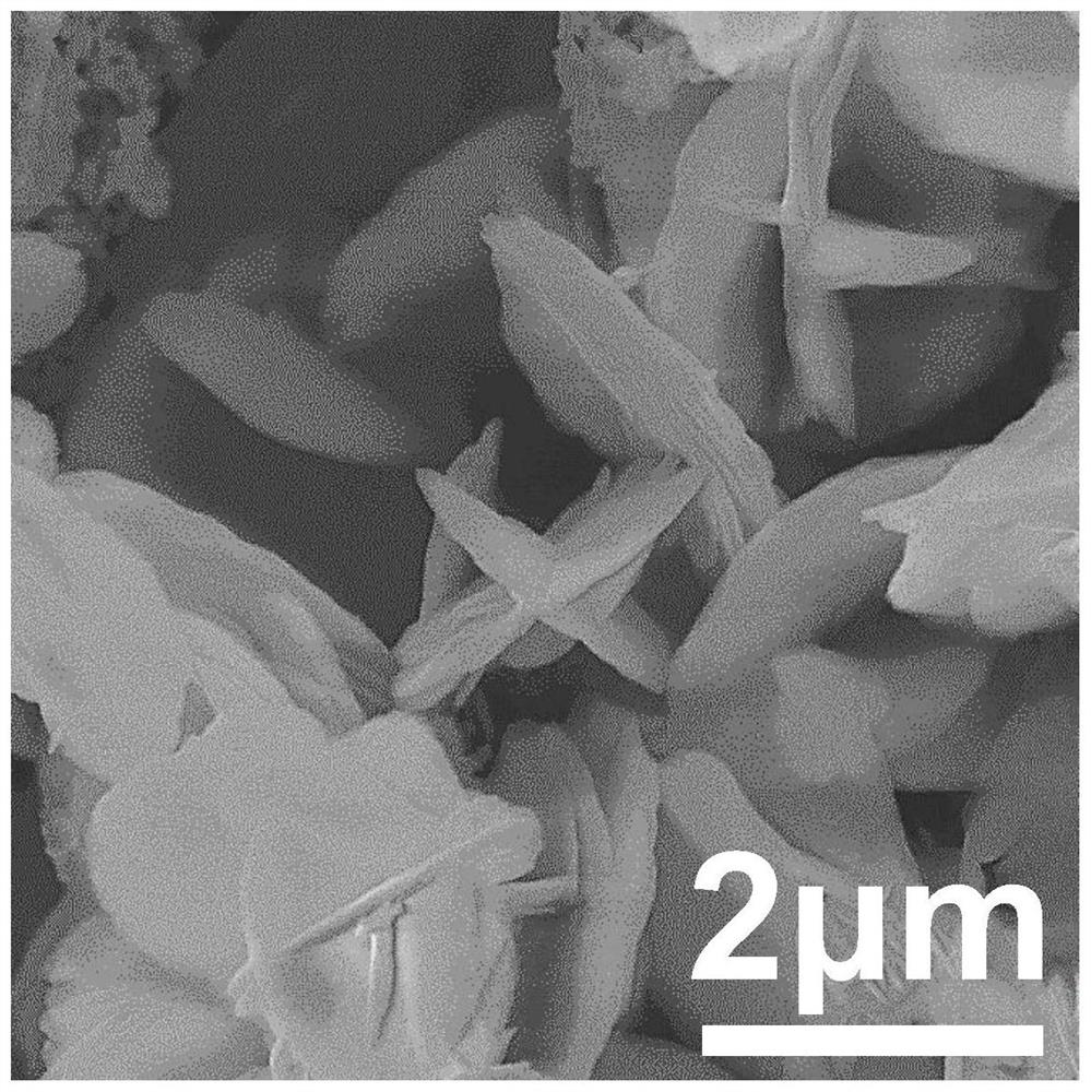 Preparation method of Bi/Cu catalyst for artificial photosynthesis