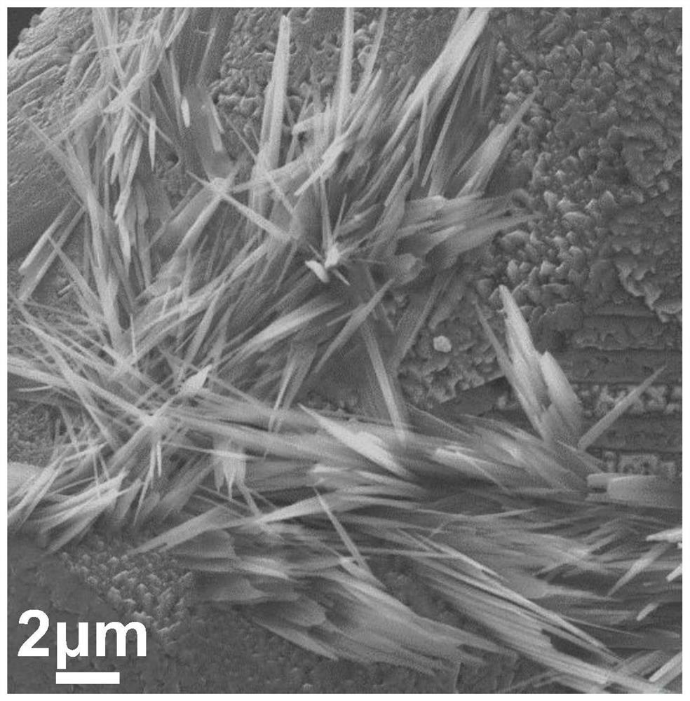 Preparation method of Bi/Cu catalyst for artificial photosynthesis