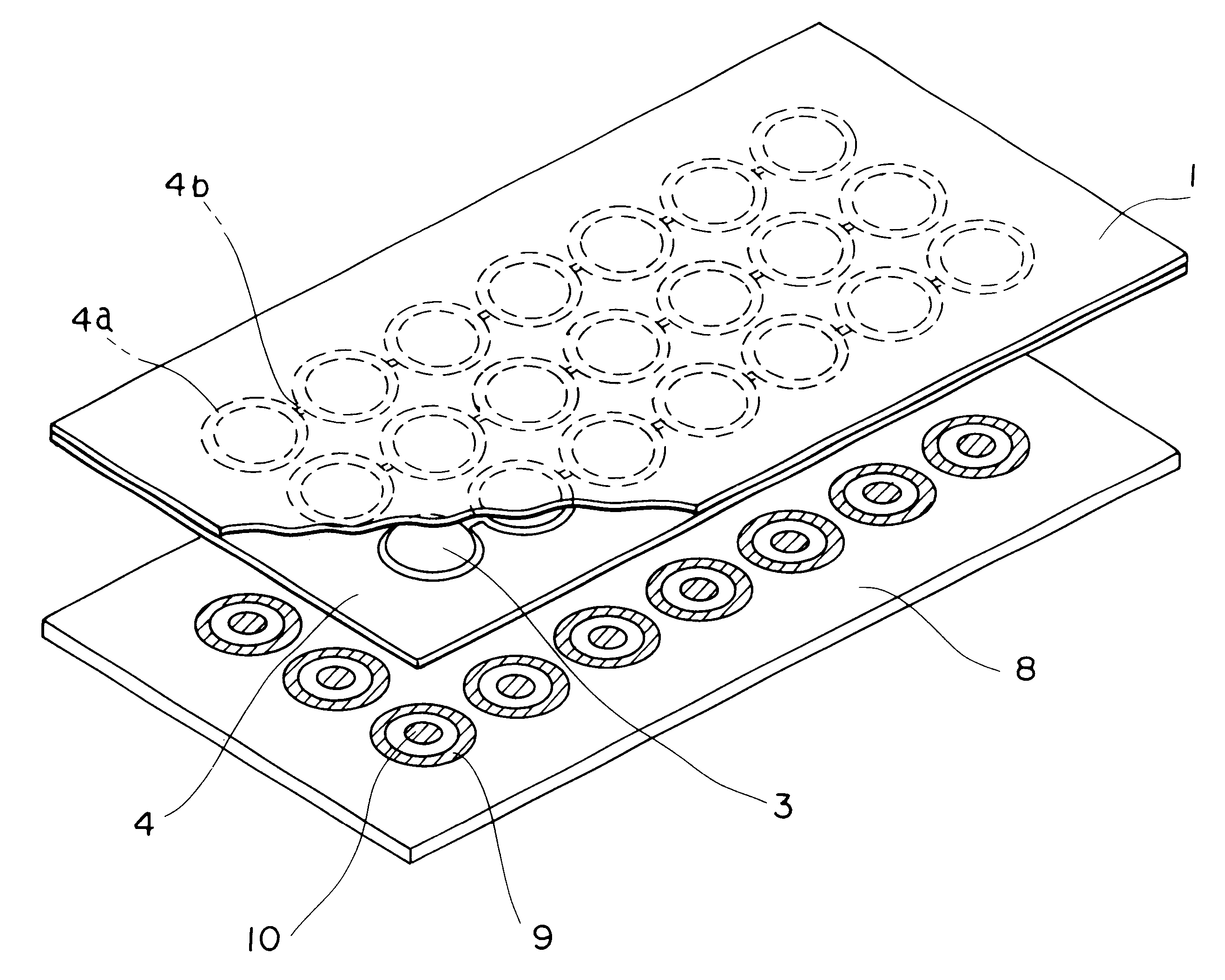 Sheet with movable contacts and sheet switch