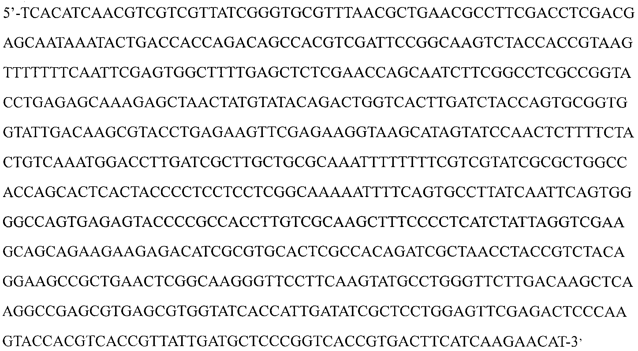 Beauveria bassiana and application thereof