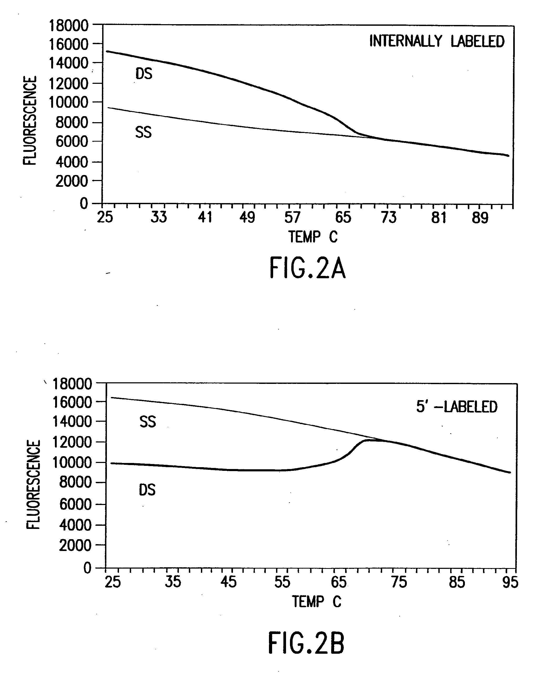 Primers and methods for the detection and discrimination of nucleic acids