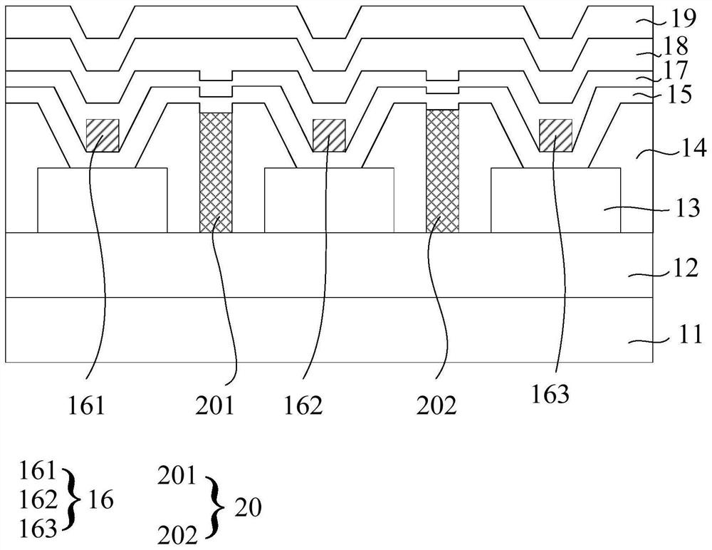 OLED display panel and OLED display device