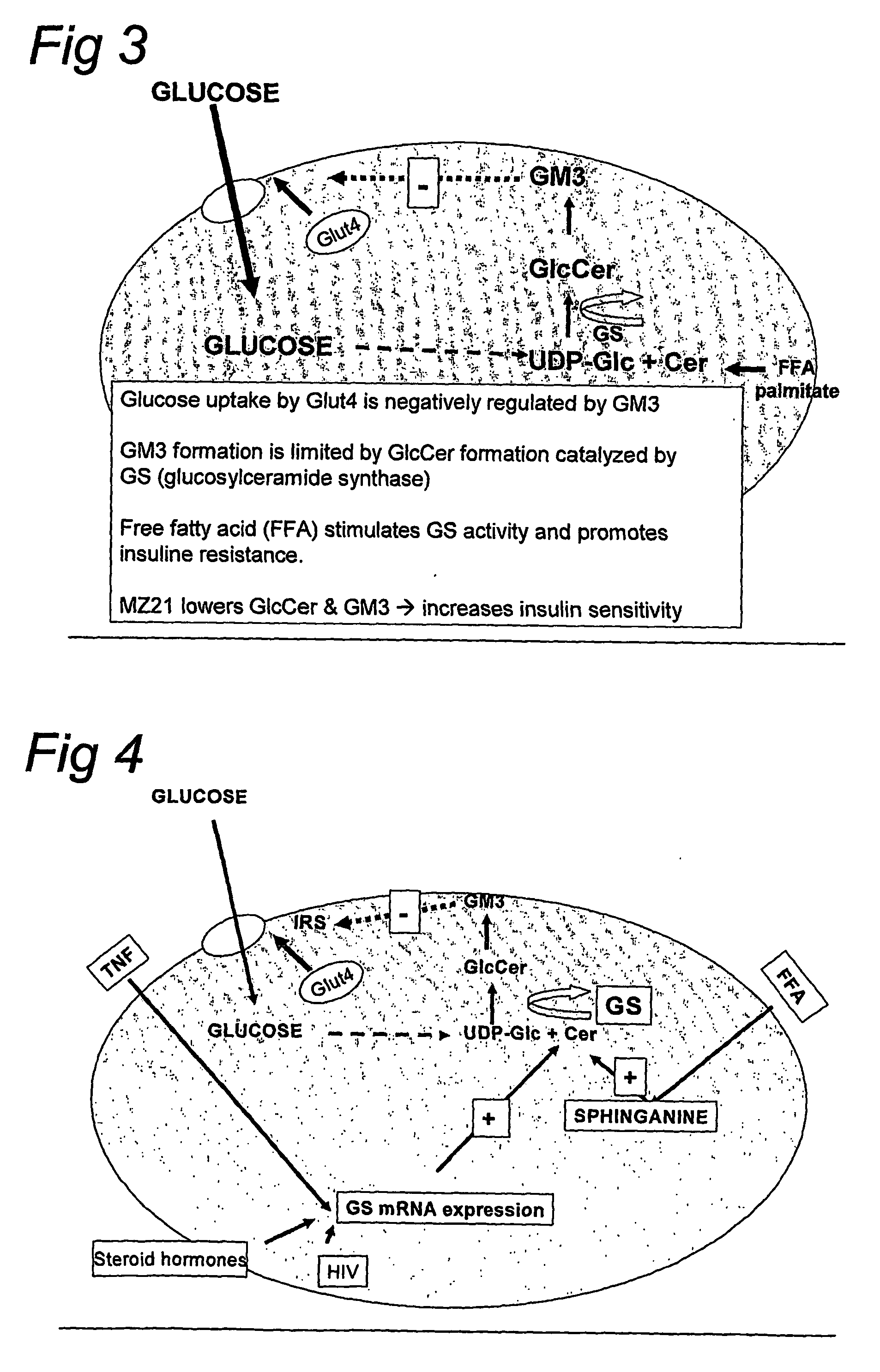 Use of a deoxynojirimycin derivative or a pharmaceutically salt thereof