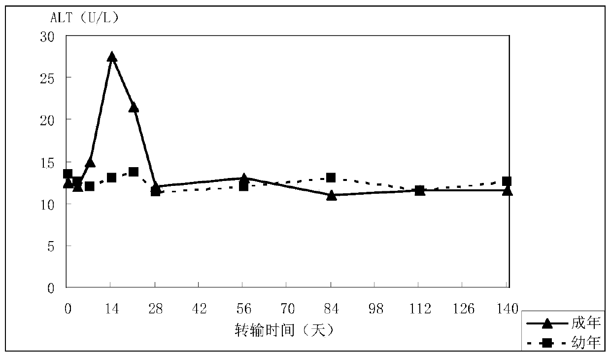 Construction method and application of age-dependent hepatitis B mouse model system of a kind of balb/c background