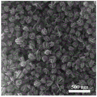 Flower-ball-shaped titanium dioxide and preparation method thereof