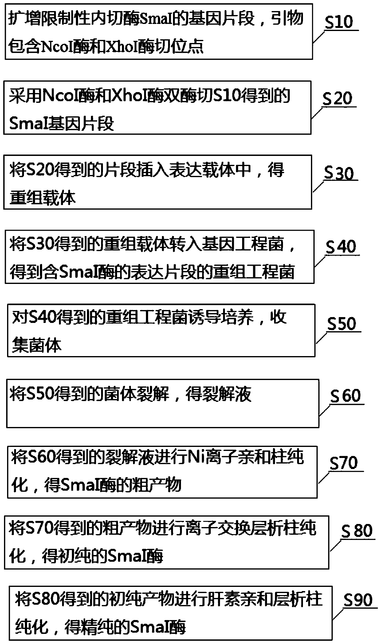 Restriction enzyme SmaI and expression purification method thereof