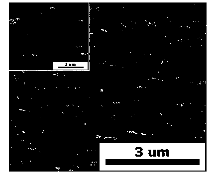 Arrayed silver nanorods with surface-modifying gold nanoparticles and preparation method thereof