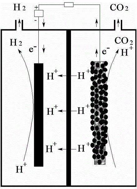 Apparatus and method for preparing adiponitrile by electrolyzing acrylonitrile assisted by electro-active microbes