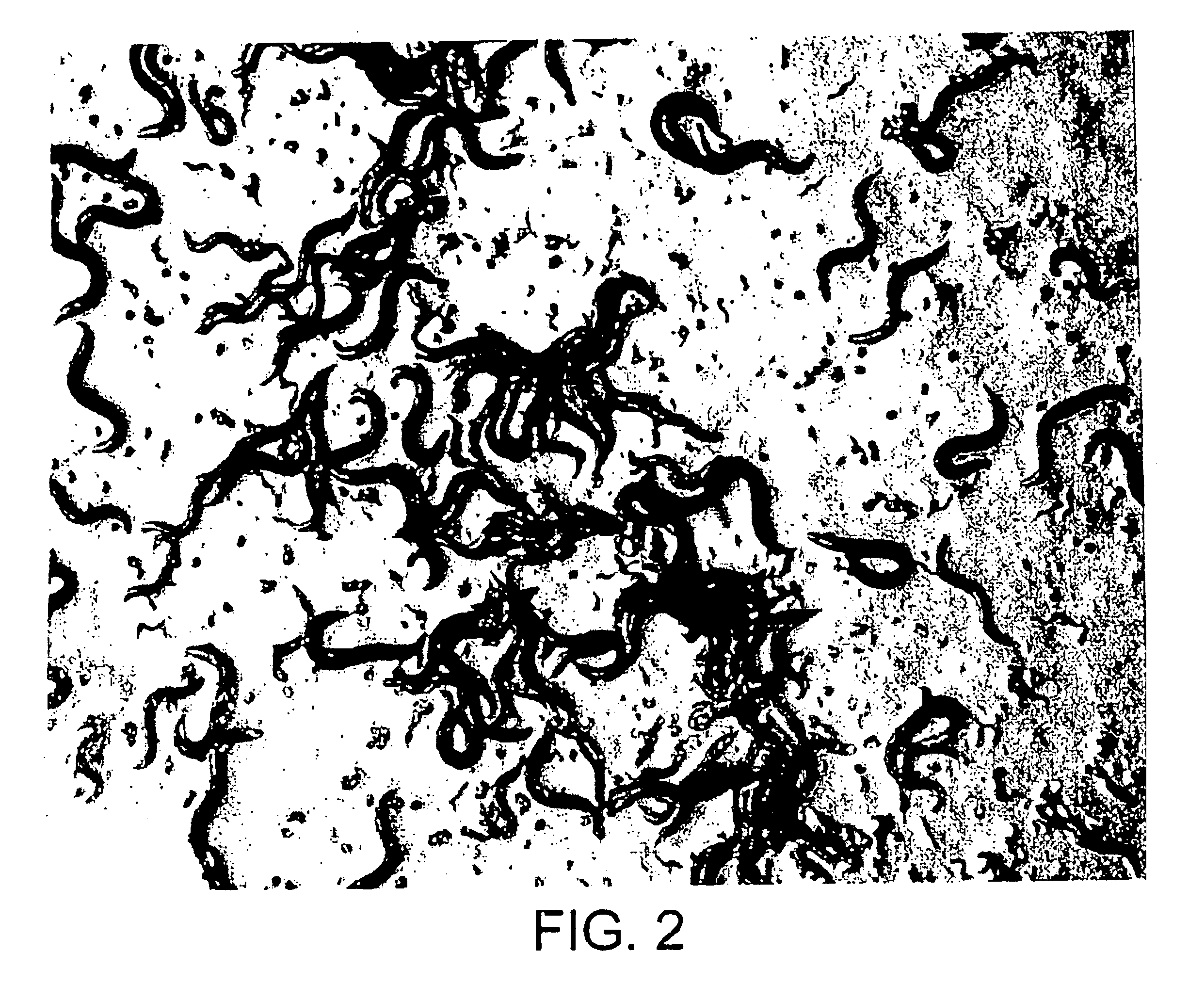 Nematicidal compositions and methods