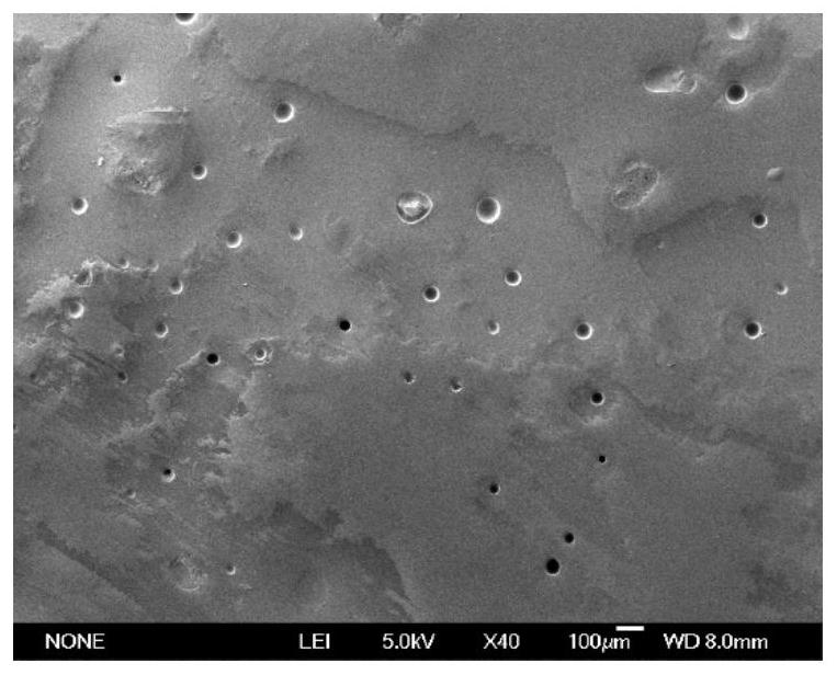 Self-repairing PDMS coating and preparation method thereof