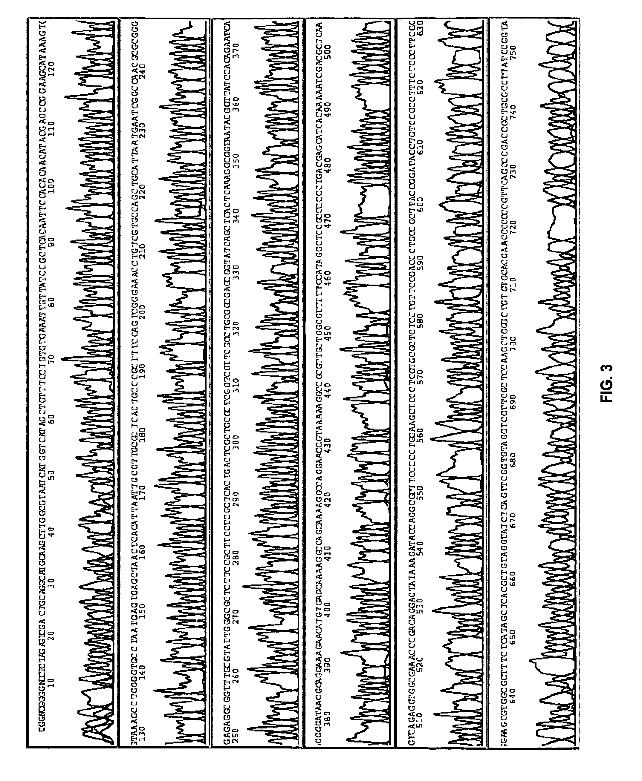 Methods, compositions, and kits for amplifying and sequencing polynucleotides