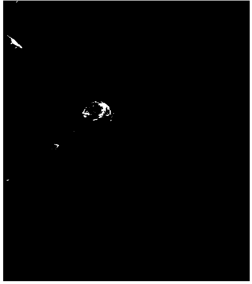 Ginseng micro-powder tablet and preparation method thereof