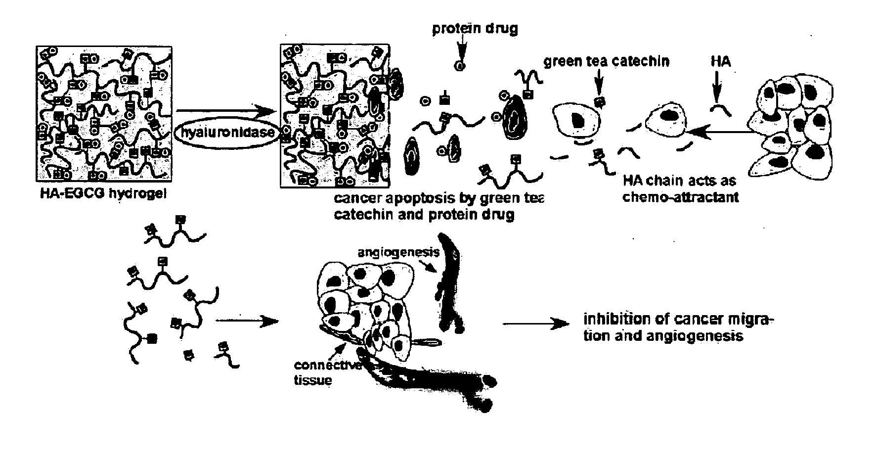 Flavonoid hydrogel