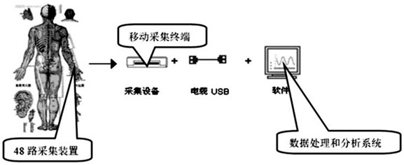 Acupoint viscera balance detection system and method, and storage medium