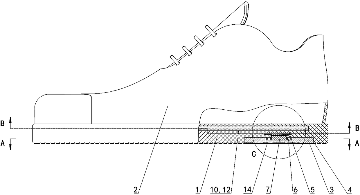 Snow shoe with snow removing function