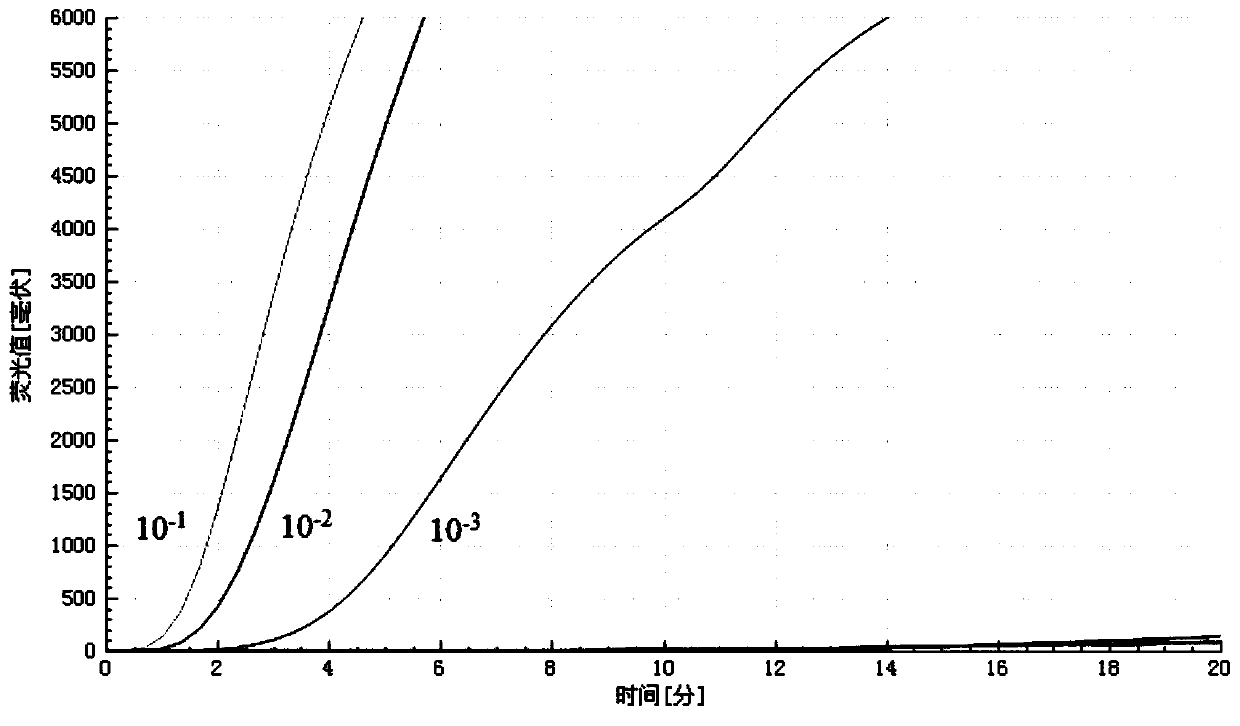 RT-RAA detection method for avian infectious bronchitis virus